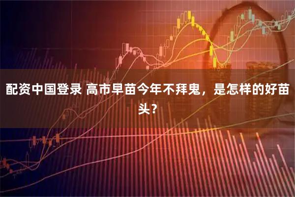 配资中国登录 高市早苗今年不拜鬼，是怎样的好苗头？