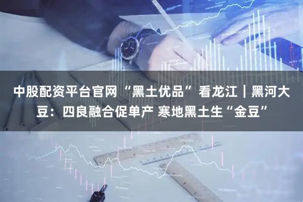中股配资平台官网 “黑土优品” 看龙江｜黑河大豆：四良融合促单产 寒地黑土生“金豆”